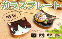 ガラスプレート