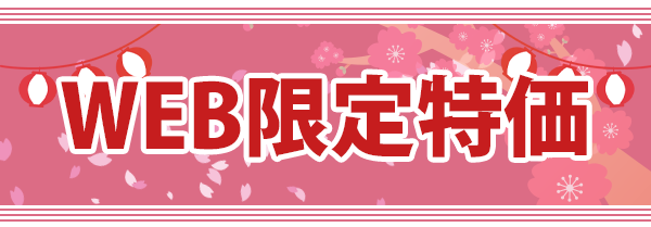 WEB限定特価