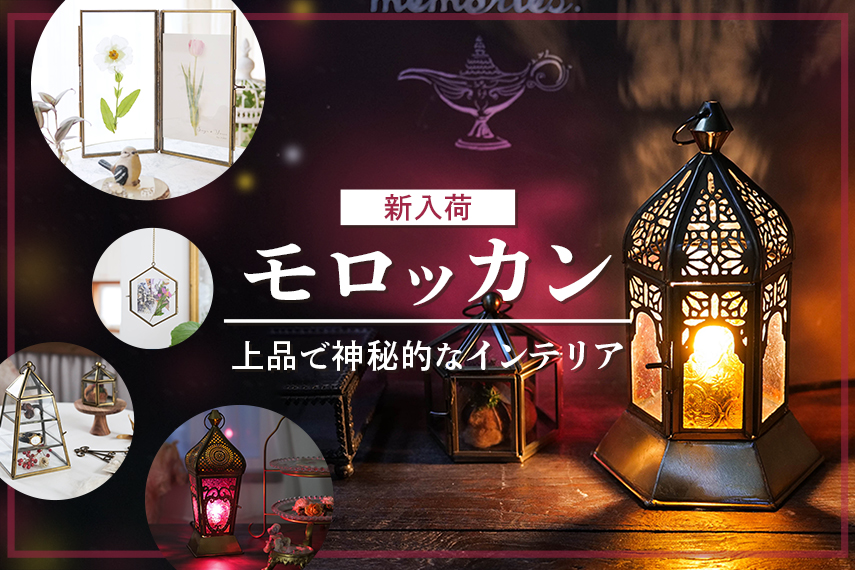 モロッカンシリーズ新登場!