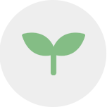 園芸 卸販売 人気 売れ筋