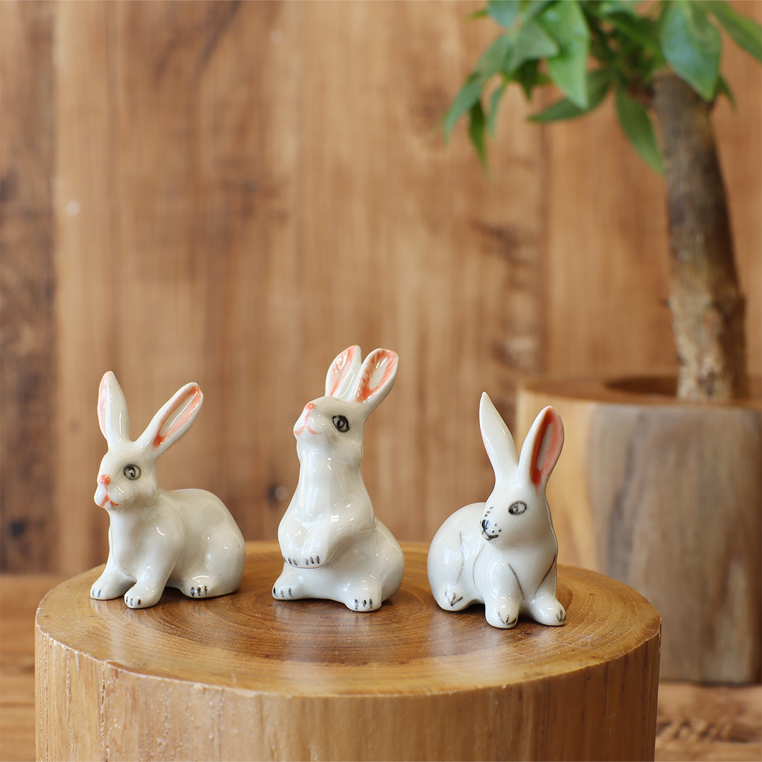 陶器ウサギ 【SR】