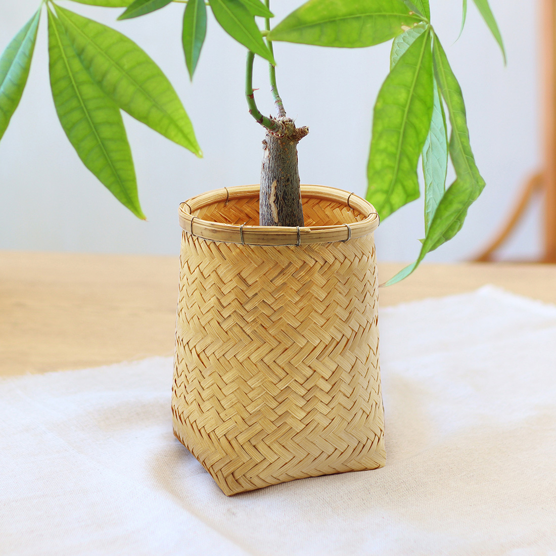 バンブー プラントホルダー M