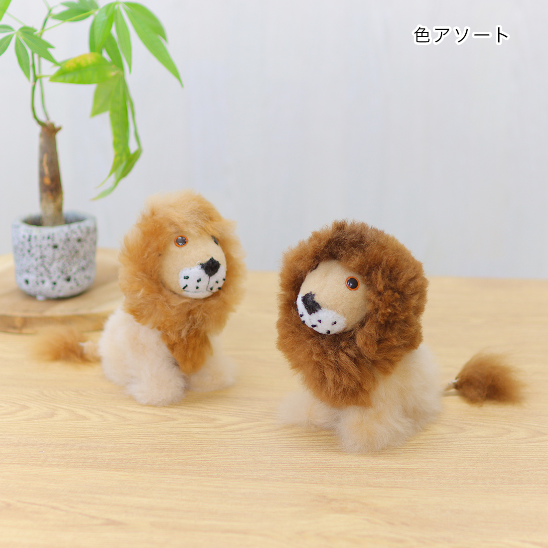 ベビーアルパカ ライオン