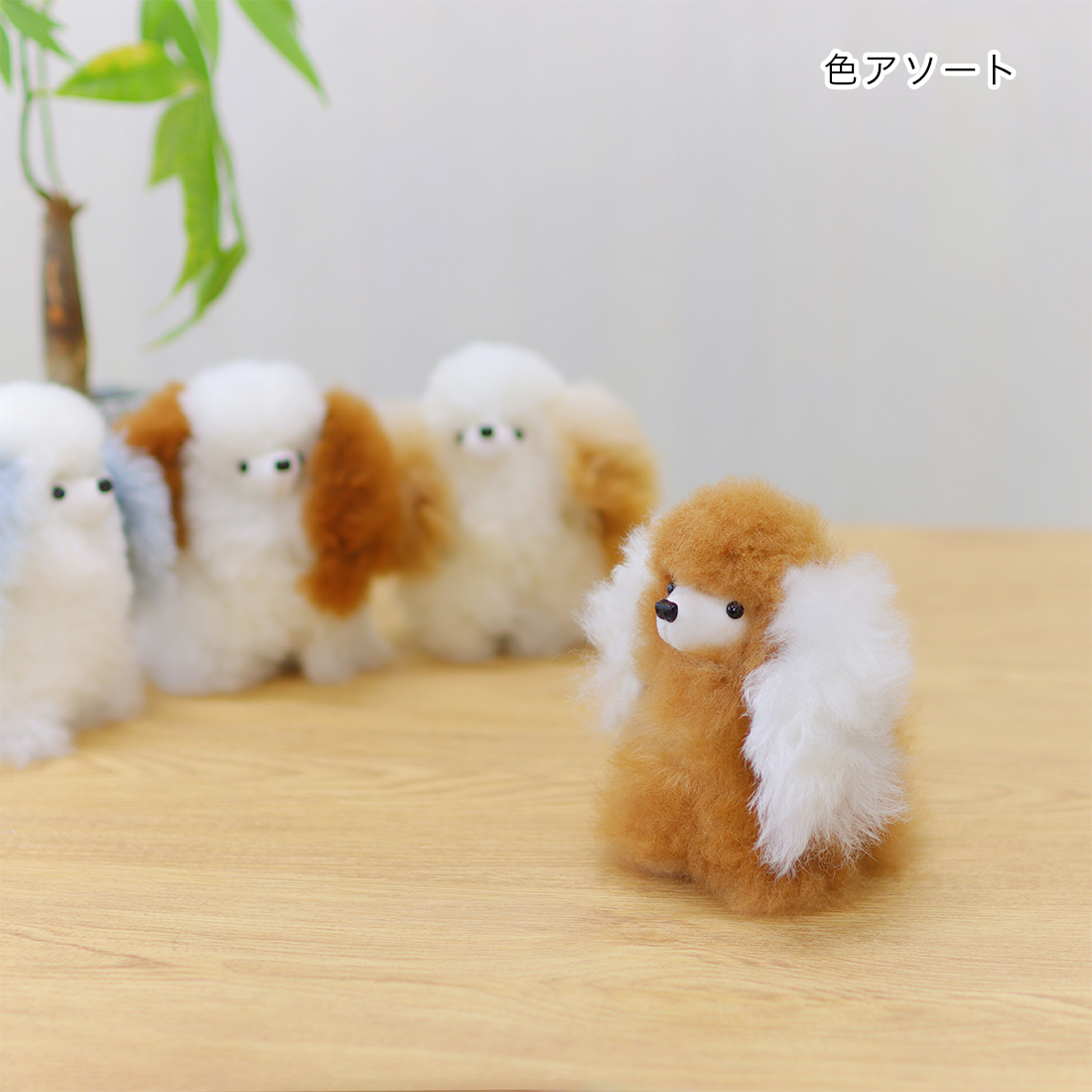 ベビーアルパカ　プードルS