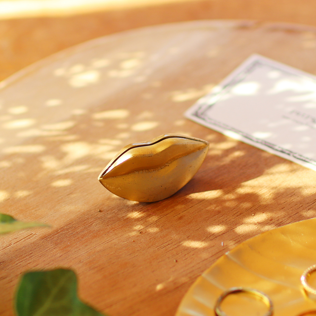 ブラス カードホルダー リップ