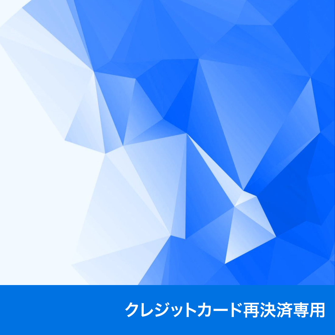 ◆クレジットカード再決済専用◆